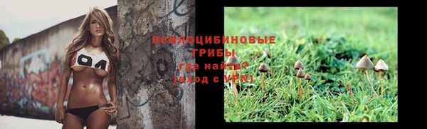 mdpv Мегион
