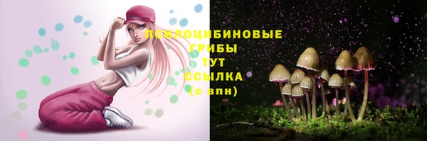 mdpv Мегион