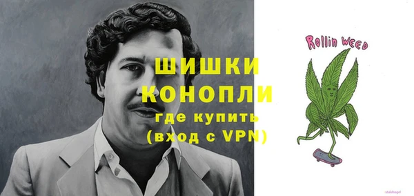 гашик Медногорск