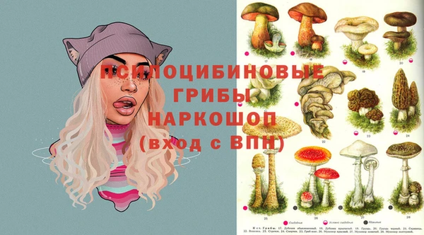 mdpv Мегион