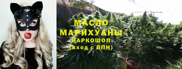 гашик Медногорск