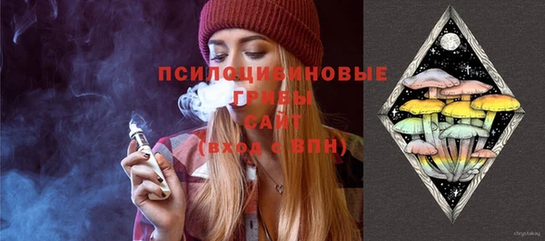 гашик Медногорск