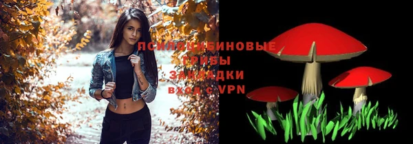 гашик Медногорск