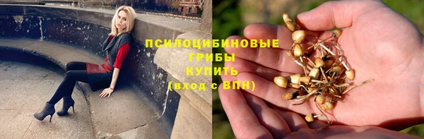 гашик Медногорск