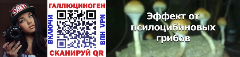 ссылка на мегу   маркетплейс официальный сайт  Псилоцибиновые грибы Cubensis  Нижняя Тура 